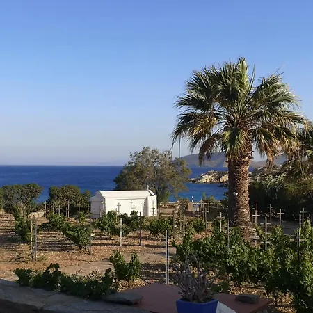 Antinaxos * Αμπελάς