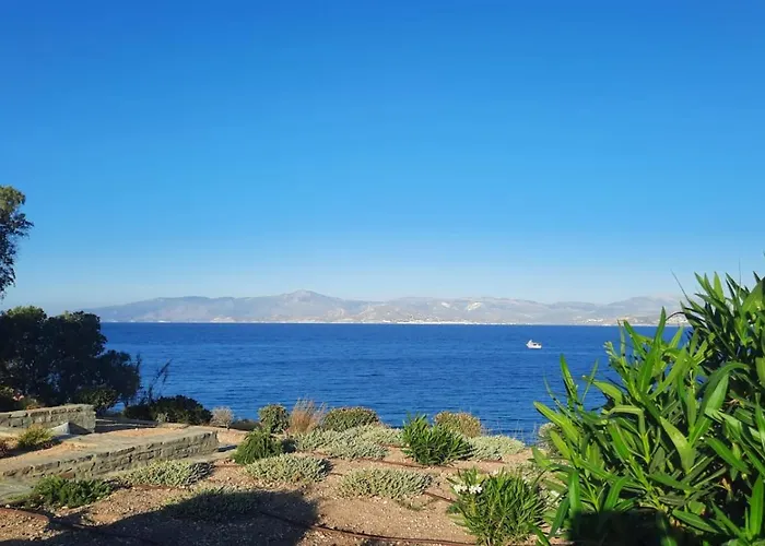 Antinaxos Αμπελάς