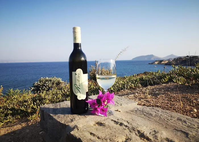 Βίλα Antinaxos *