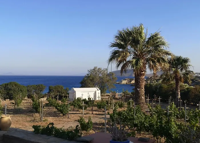 Antinaxos * Αμπελάς